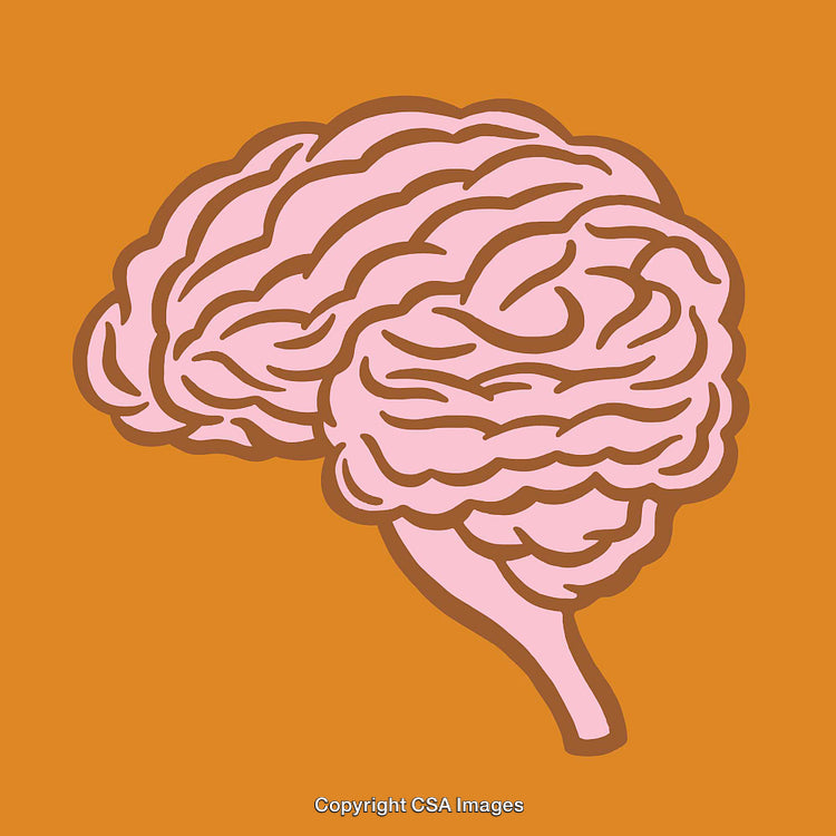 Colorful Line Art Illustration of a Brain on an Orange Background