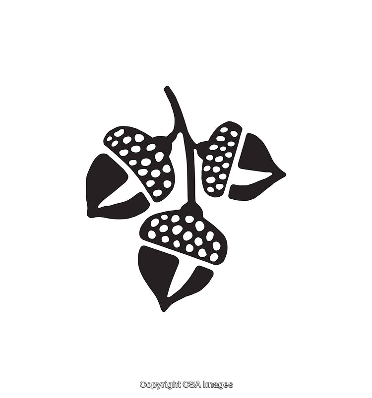 Simple Black and White Stylized Acorn Icon Design