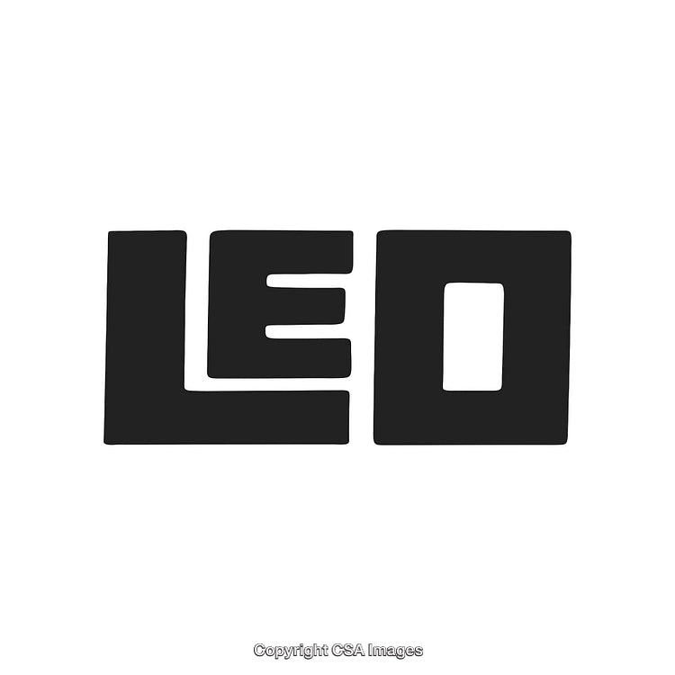 Stylized Bold Leo Typography Design on White Background