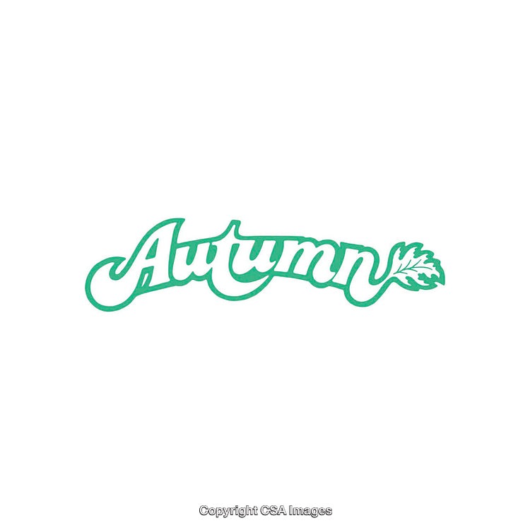 Stylish Handwritten Typography Design Celebrating Autumn Season with Leaf Accent
