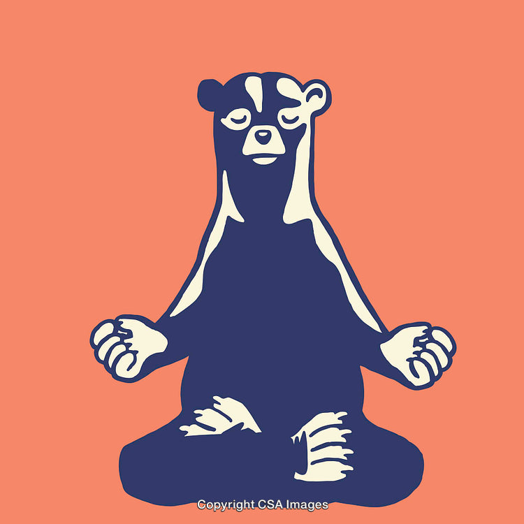 Meditating Bear Line Art on Vibrant Coral Background