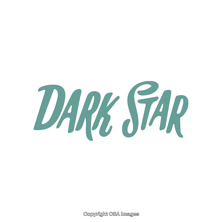Stylized Dark Star Typography Logo on Simple White Background