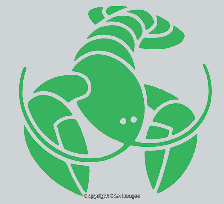 Green Line Art Illustration of a Lobster in Stylized Design