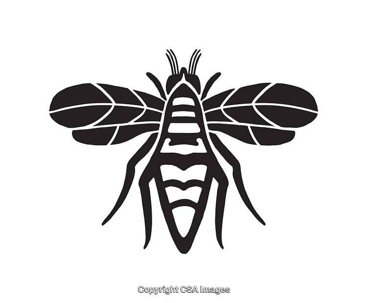 Black and White Line Art of a Detailed Flying Bee