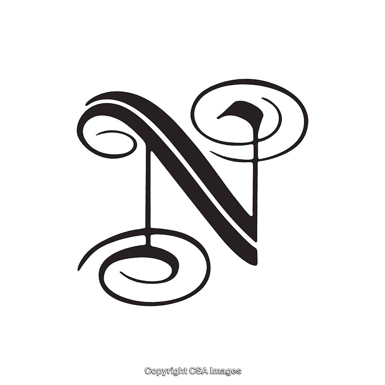Elegant Decorative Letter N Script Calligraphy on White Background