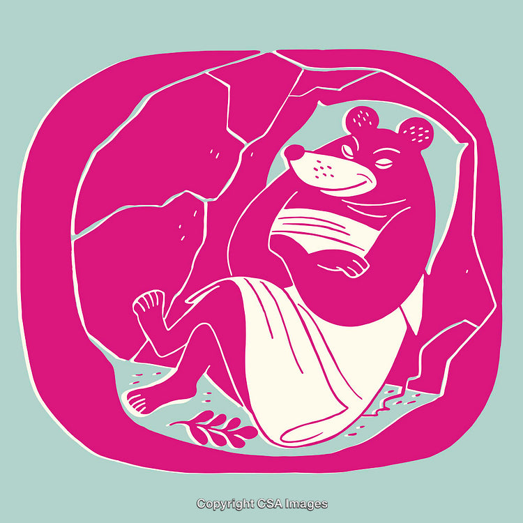 Colorful Illustration of a Bear Relaxing in a Cave