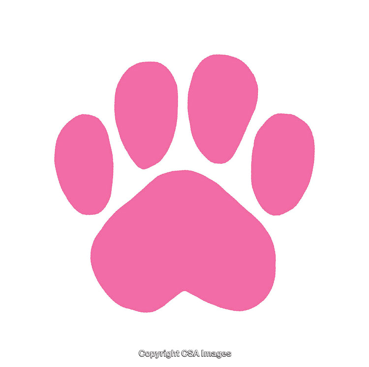 Pink Pawprint Icon on a White Background for Animal Themes