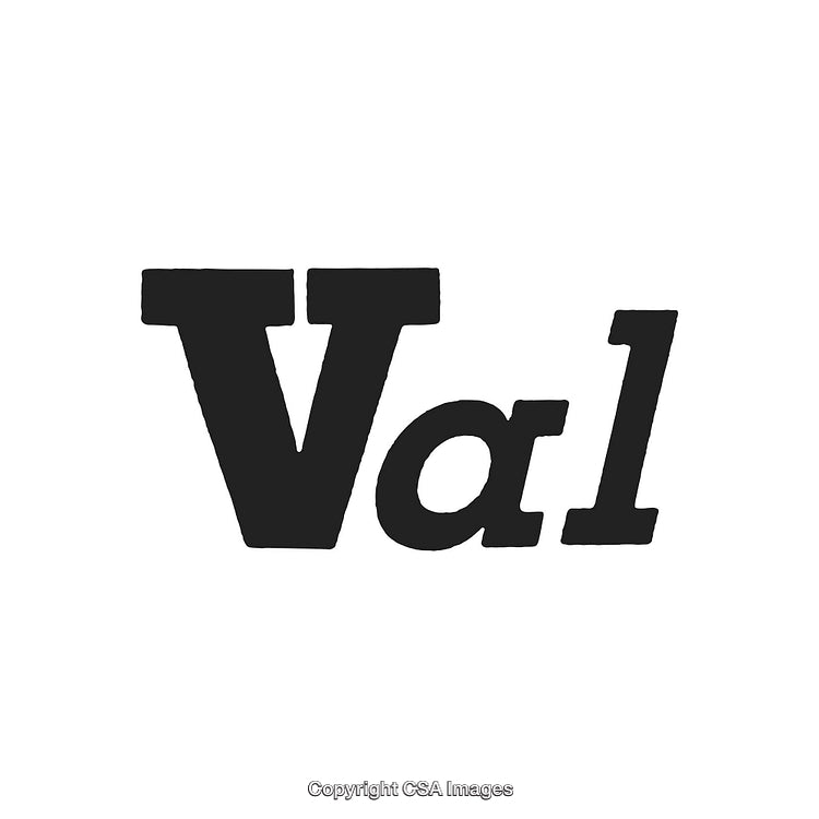Bold Black and White Stylized Text Logo Design