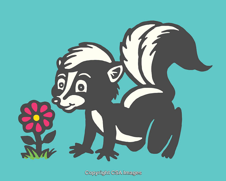 Cute Cartoon Skunk Admiring a Colorful Flower in a Garden