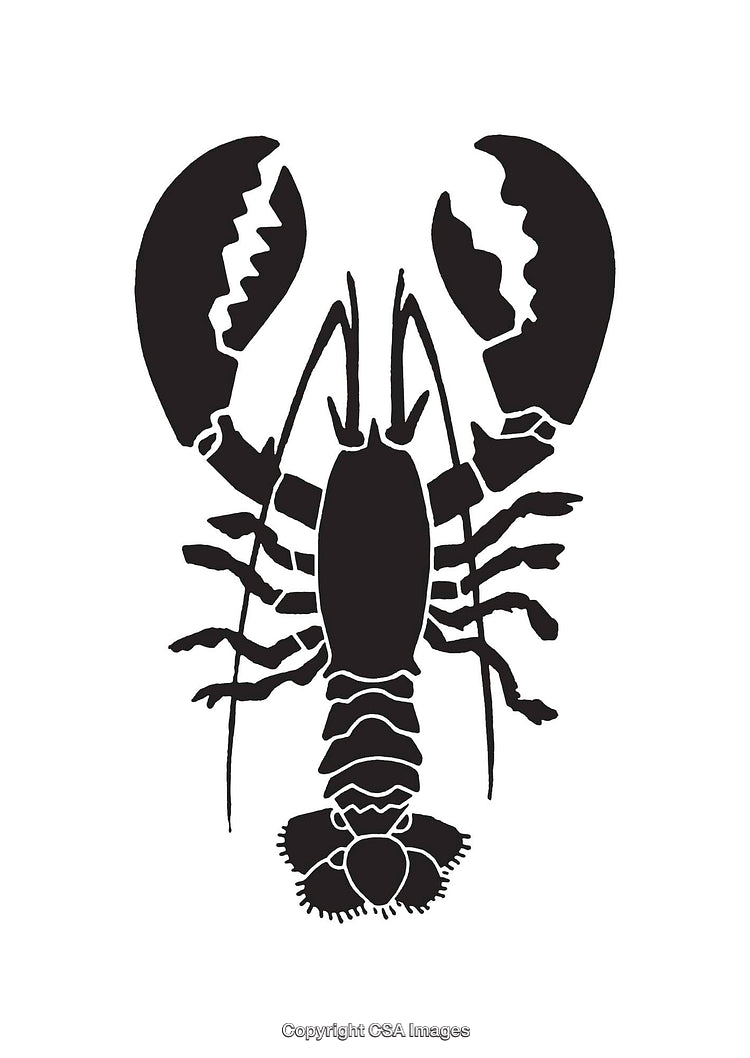 Black and White Lobster Line Art Illustration on White Background