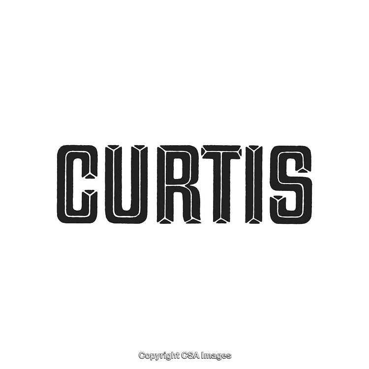 Bold Black Stylized Typography Featuring the Name Curtis on a White Background