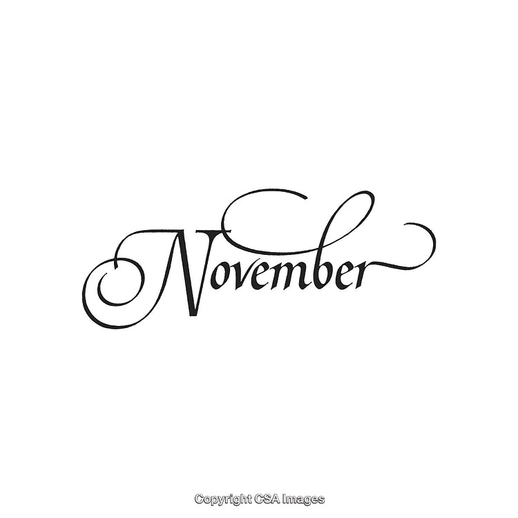 Elegant November Typography With Decorative Calligraphic Script on White Background