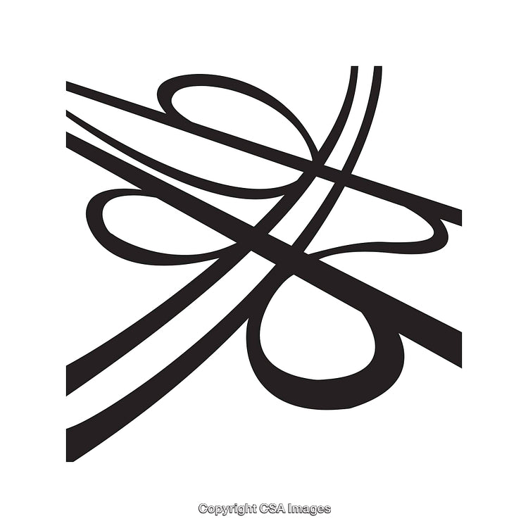 Abstract Black and White Line Art With Fluid Shapes and Elements