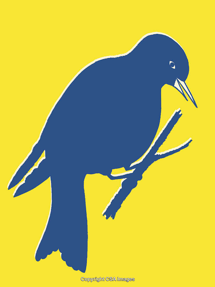 Blue Bird Illustration on Vibrant Yellow Background With Bold Simplistic Design