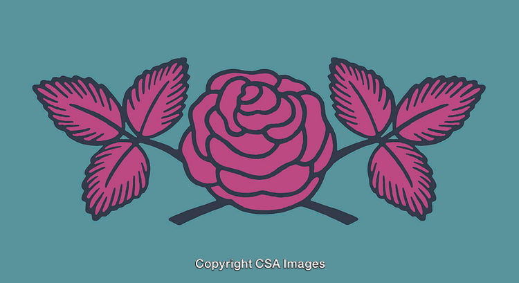 Vibrant Vector Illustration of Pink Rose with Leaves on Teal Background