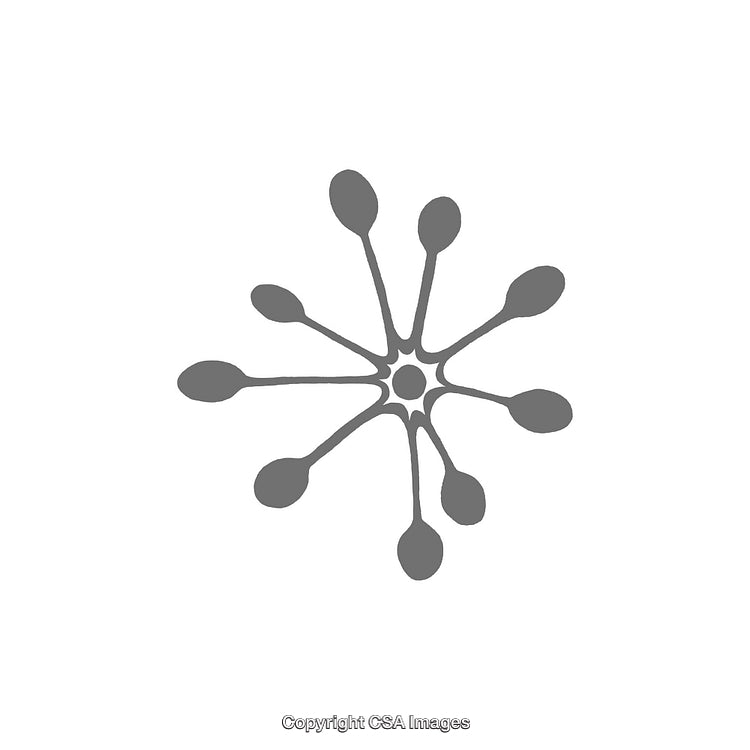 Abstract Geometric Dingbat Shape with Symmetrical Design