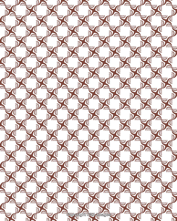 Stylish Geometric Pattern With Intricate Brown and White Design