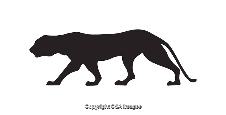 Black Silhouette of a Panther in a Stealthy Prowling Stance