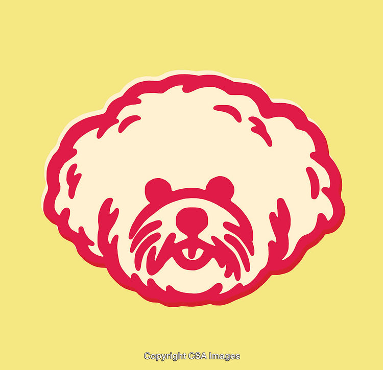 Cute Red and Cream Dog Illustration on Yellow Background