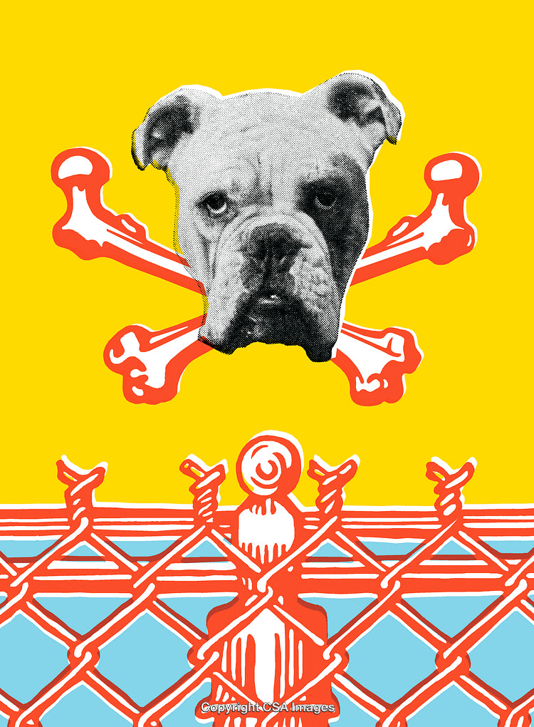 Pop Art Style Bulldog Illustration with Bold Colors and Graphic Elements