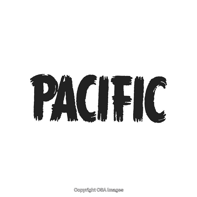 Black Brushstroke Style Text Displaying 'Pacific' on White Background