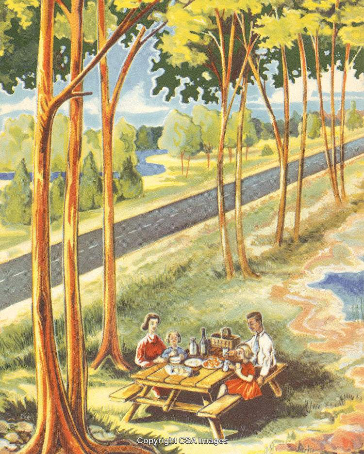 Family Enjoying a Picnic at a Scenic Countryside Table Near a Road