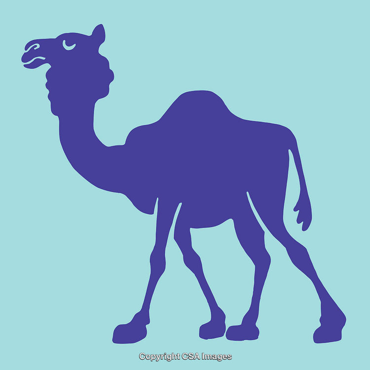Silhouette Illustration of a Camel in Blue Tones