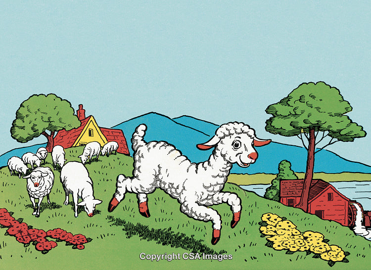 Cheerful Lamb Leaping in Pasture Near Farm Under Blue Sky
