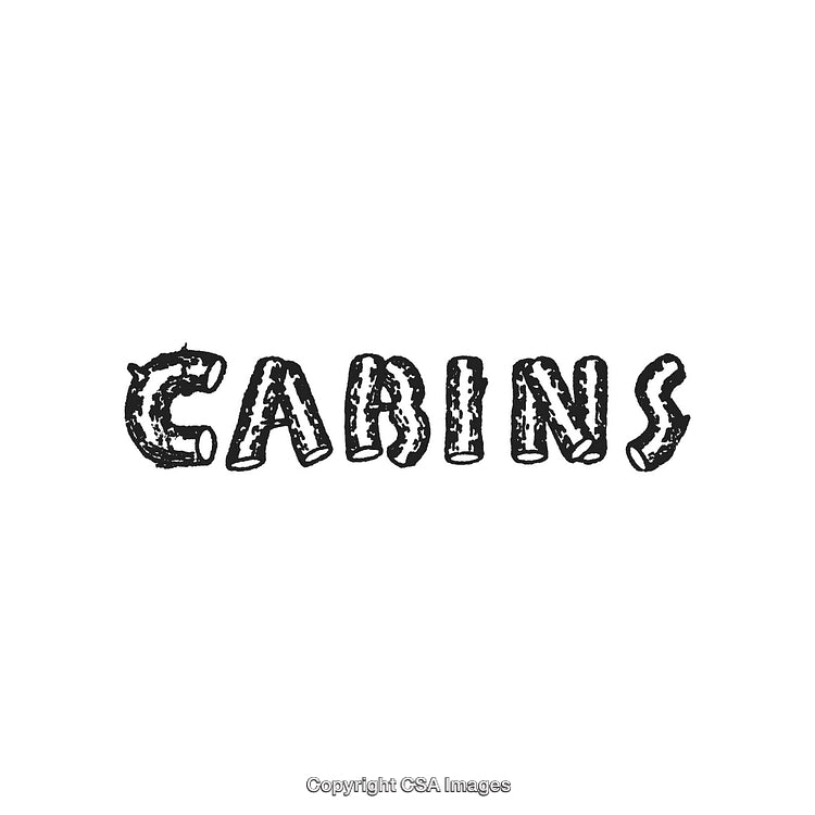 Rustic Log-Inspired Font Design Promoting a Natural and Outdoor Vibe