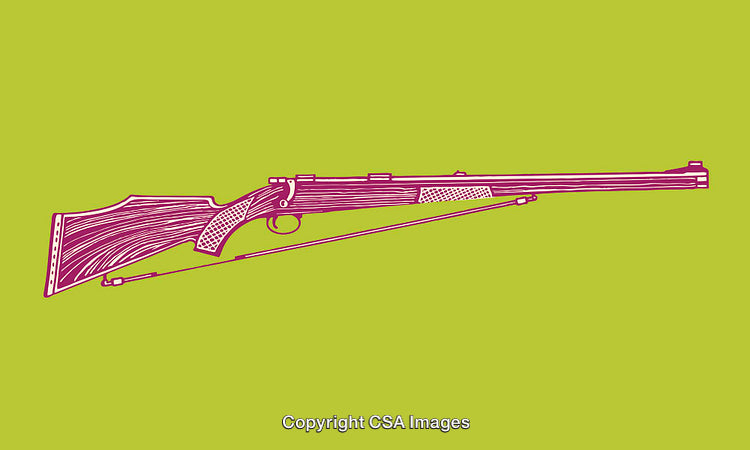 Color Line Art Illustration of a Rifle on a Bright Background
