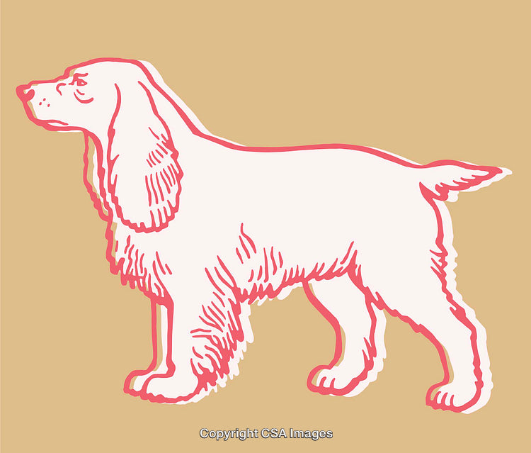 Vintage Line Art Illustration of a Spaniel Dog in Soft Pastel Colors