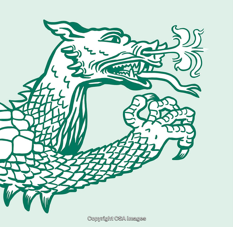 Detailed Green Dragon Illustration Breathing Fire in Line Art Style