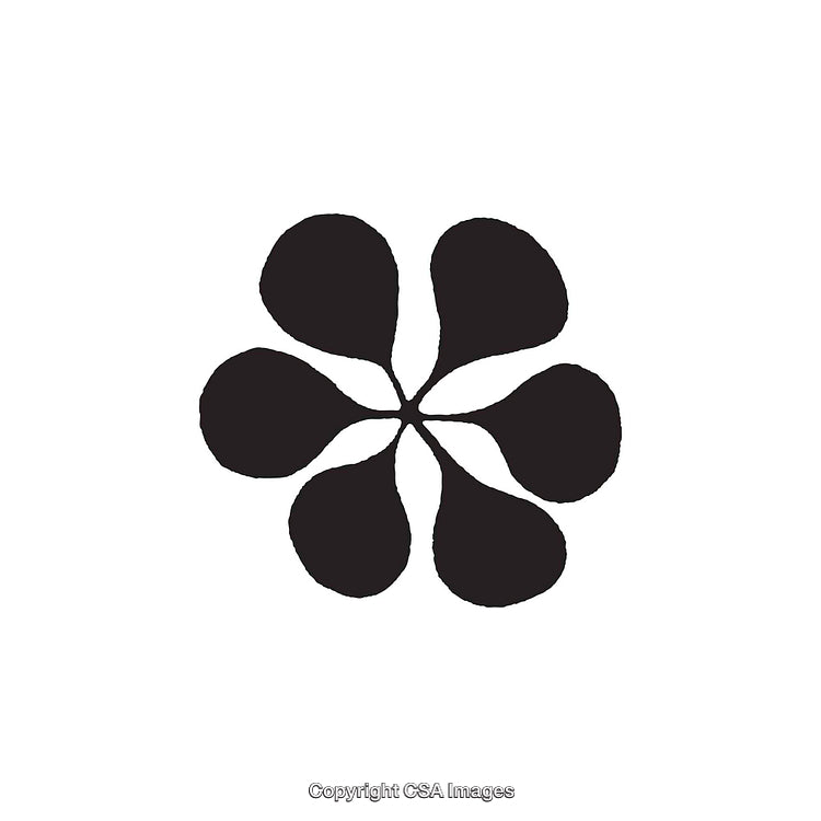 Abstract Flower-Shaped Black and White Geometric Design Dingbat