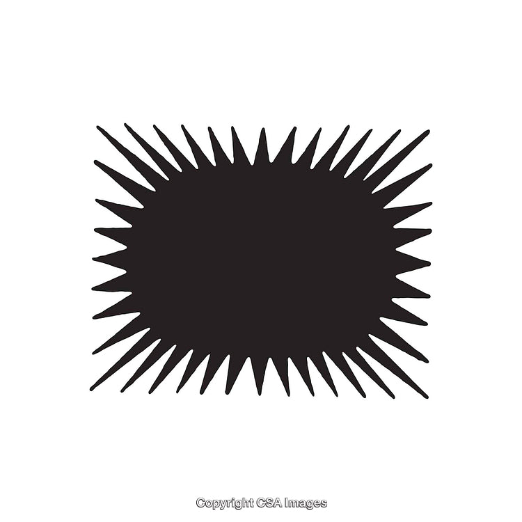 Black Sunburst Shape on a White Background