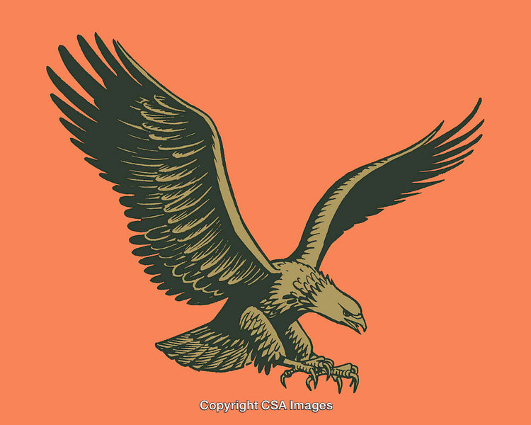 Detailed Illustration of a Flying Eagle with Outstretched Wings on Orange Background