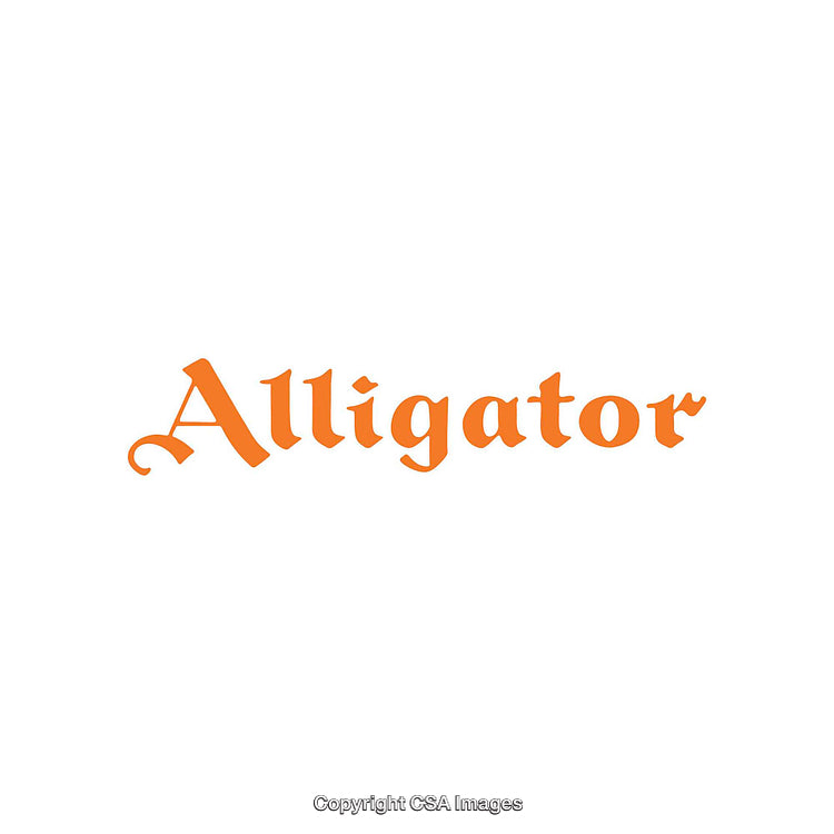Stylized Orange Font Displaying the Word 'Alligator' on a White Background