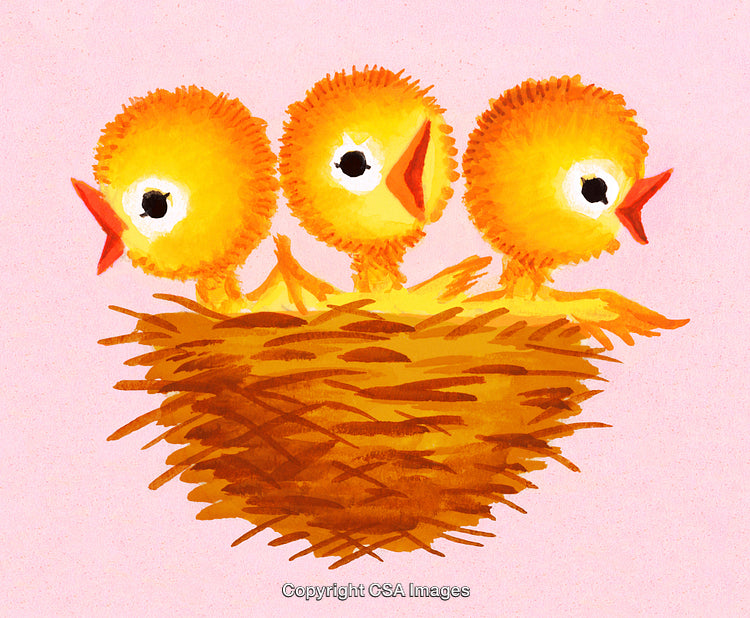 Illustration of Three Yellow Chicks in a Nest Against a Pink Background