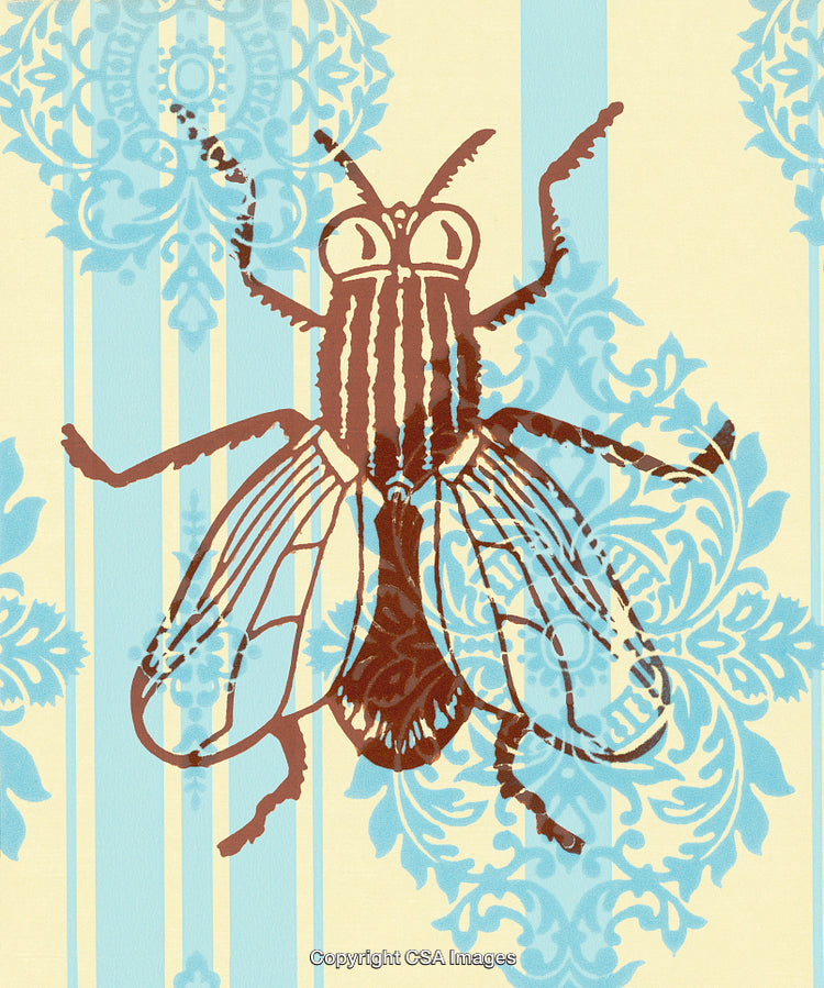 Illustrated Fly Art On Ornate Patterned Background in Blue and Beige Tones