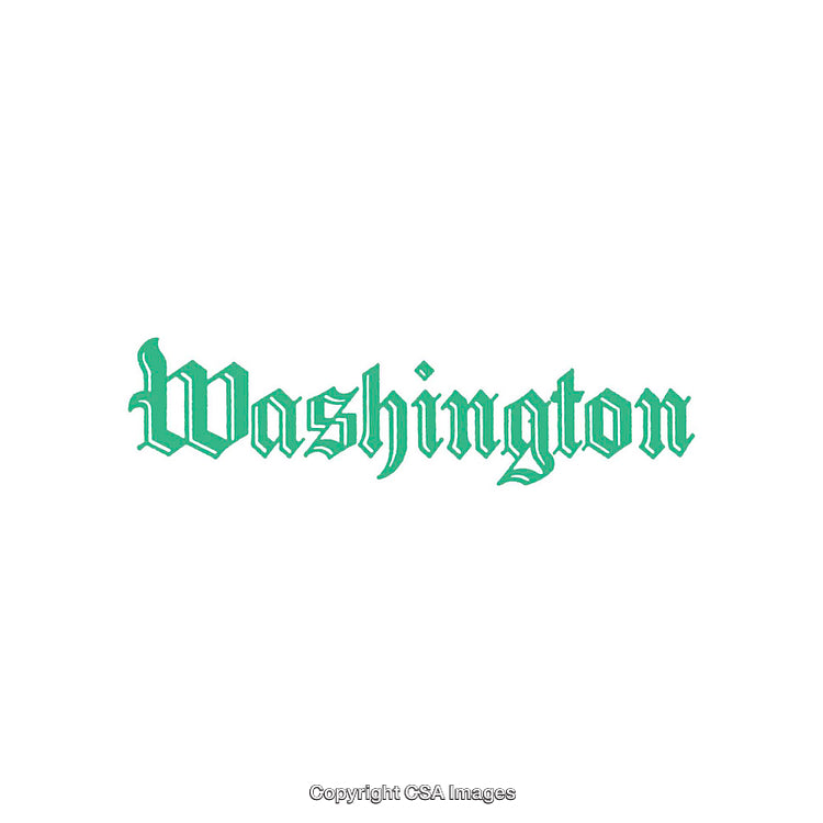 Vintage Green Typography Featuring 'Washington' in Traditional Lettering Style