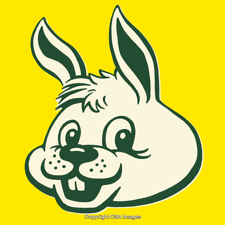 Colorful Cartoon Bunny Illustration With Yellow Background