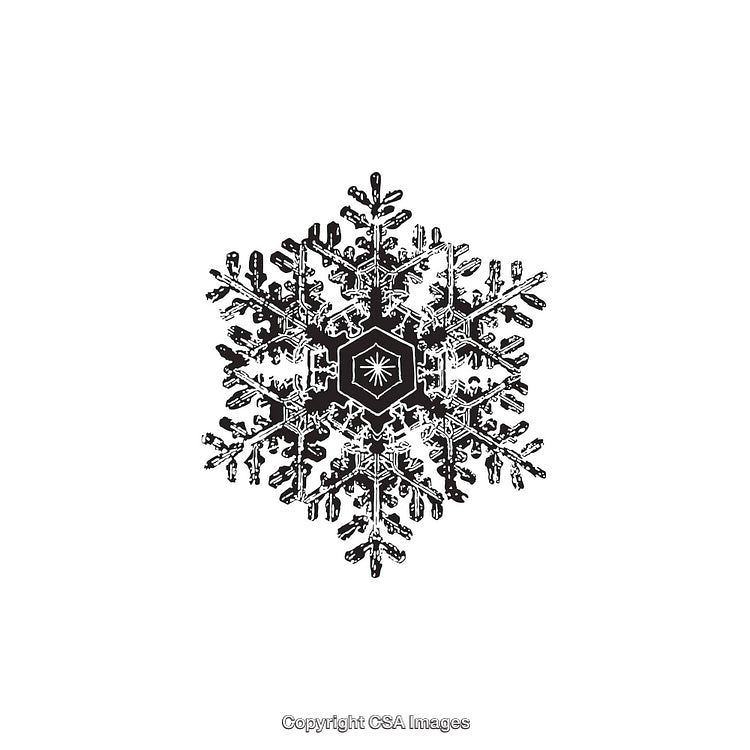 Intricate Snowflake Design in Black and White Art Illustration