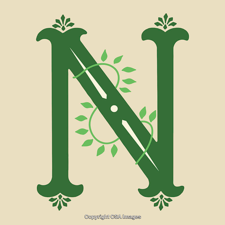 Elegant Green Letter N with Decorative Floral Elements on Beige Background