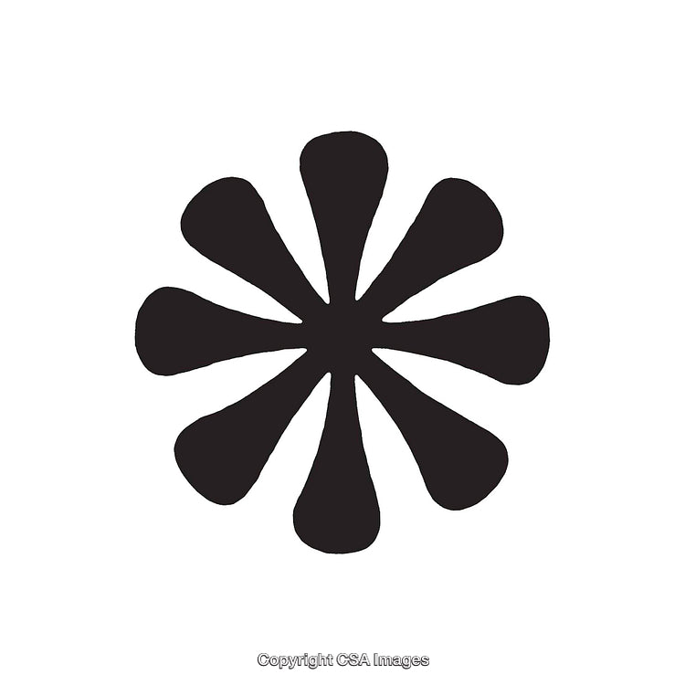 Black and White Flower-Shaped Dingbat With Symmetrical Design