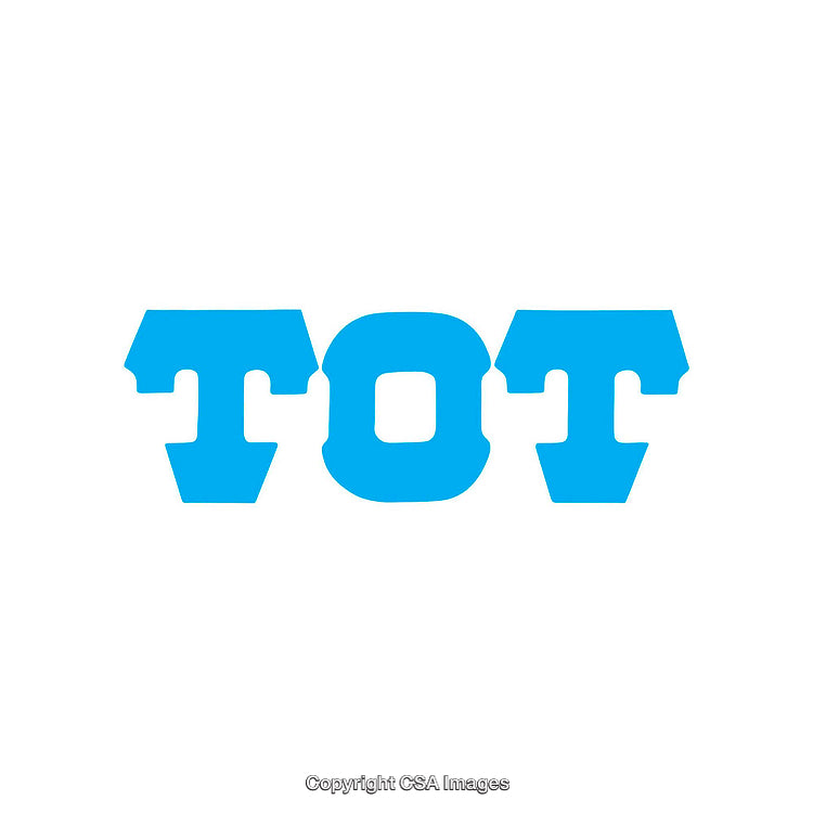 Bold Blue Text Toto Logo Design on White Background
