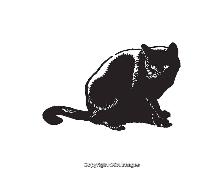 Black and White Line Art of a Sitting Cat Illustration