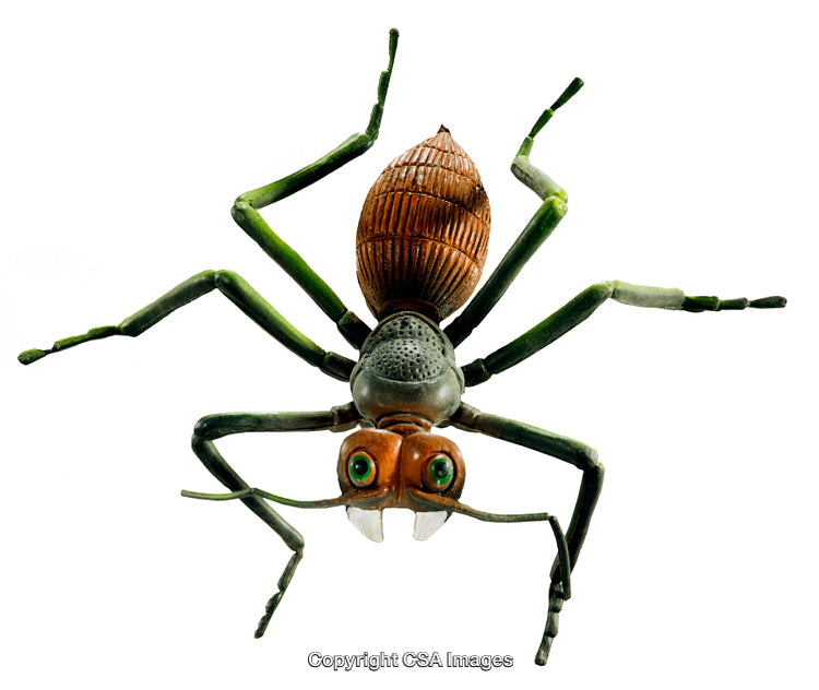 Colorful Plastic Ant Figurine with Detailed Features Isolated on White Background