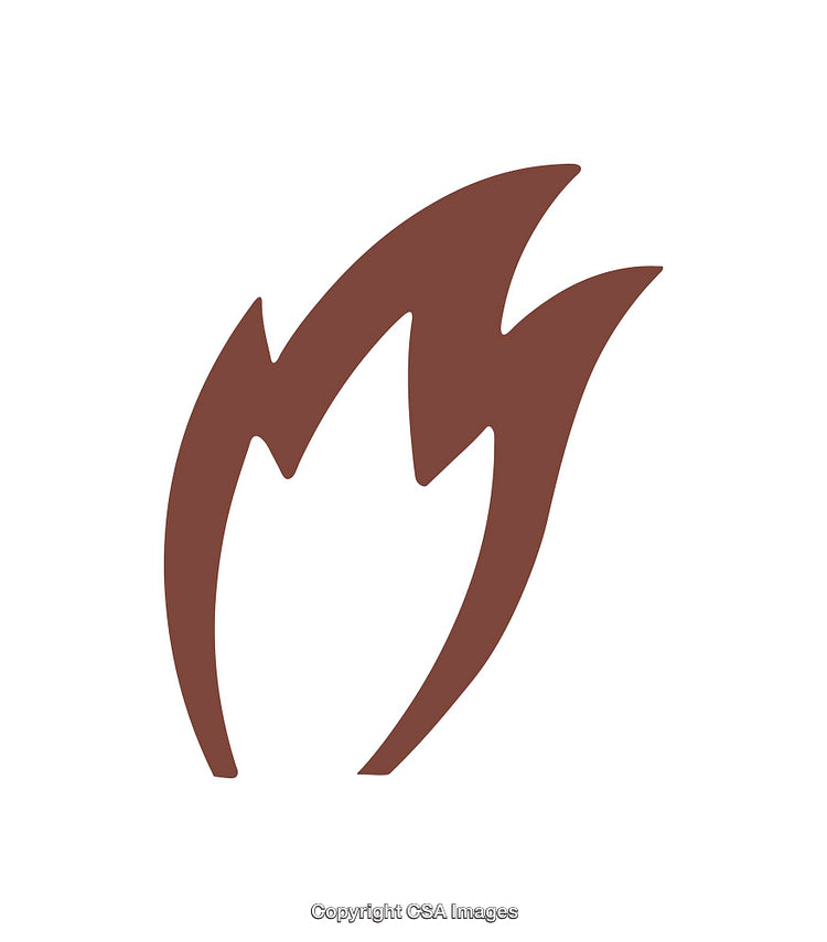 Minimalist Abstract Brown Flame Icon on a White Background