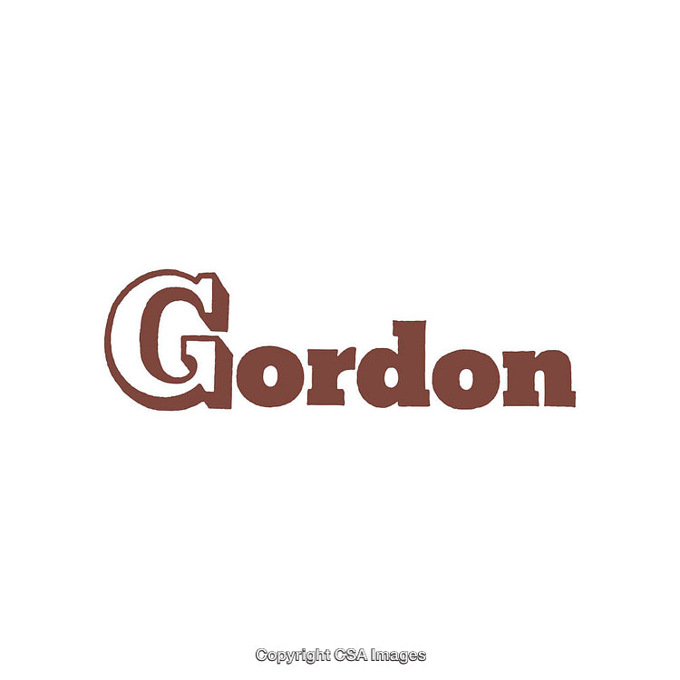 Retro-Style Graphic Displaying Gordon as a Bold Brown Text Design