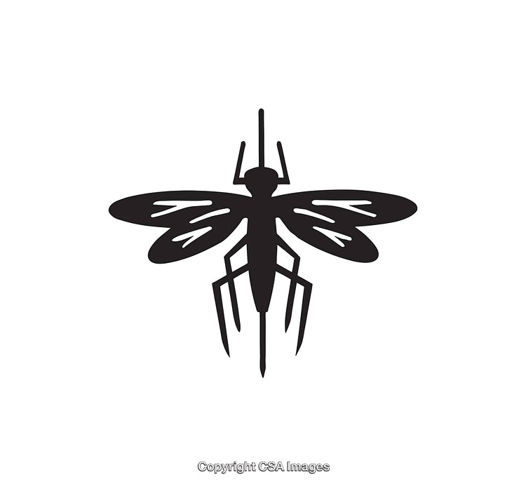 Black and White Silhouette of a Mosquito in Line Art Style