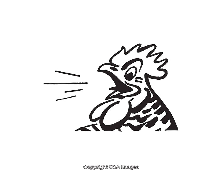 Black and White Line Art of a Crowing Rooster Illustration